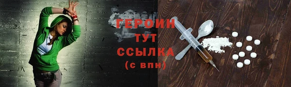 прущие грибы Волоколамск