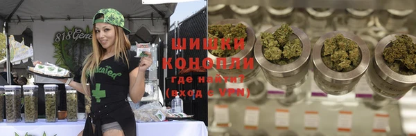 прущие грибы Волоколамск
