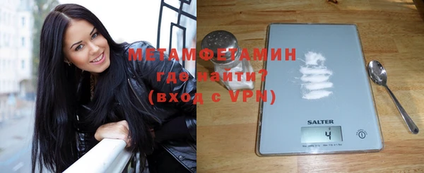 прущие грибы Волоколамск