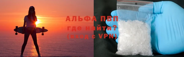 прущие грибы Волоколамск